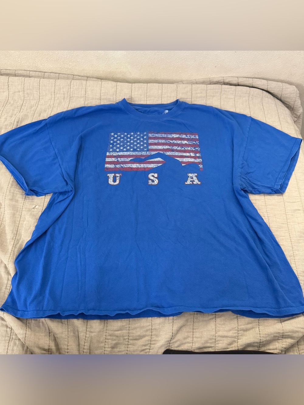 Men's Blue USA Graphic T-Shirt